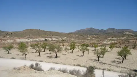 Finca rústica en Abanilla
