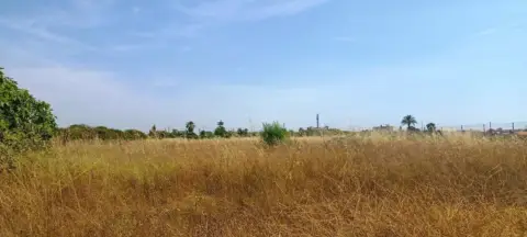 Finca rústica en Poble de Benicarló