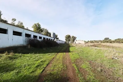 Finca rústica en Alcaudete de La Jara