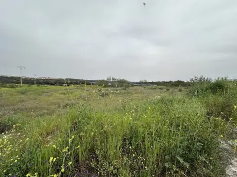 Terreno en Malpartida de Plasencia