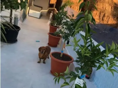 Casa adosada en Fiñana