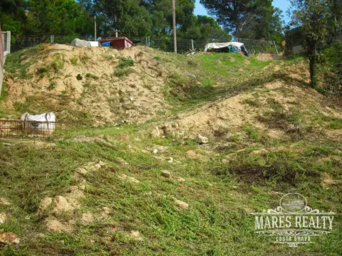 Terreno en Cartellà