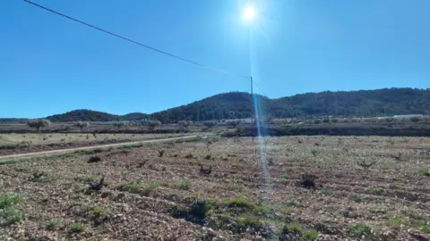 Finca rústica en Barinas