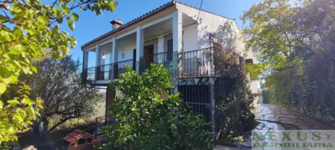 Finca rústica en Sur