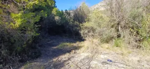 Finca rústica en Callosa d'en Sarrià