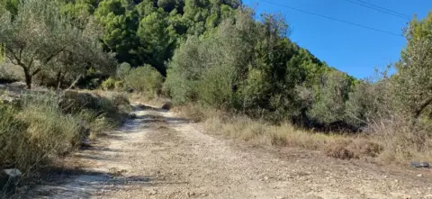 Finca rústica en Callosa d'en Sarrià