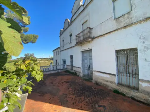 Finca rústica en Montesa