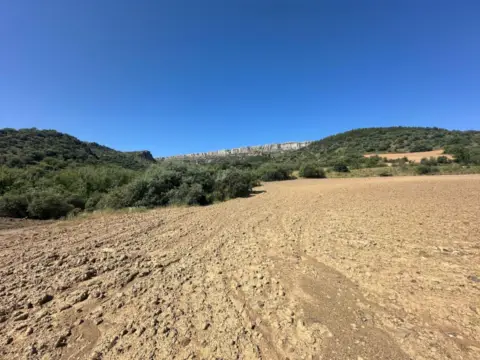 Finca rústica en calle 2 Parcela 270