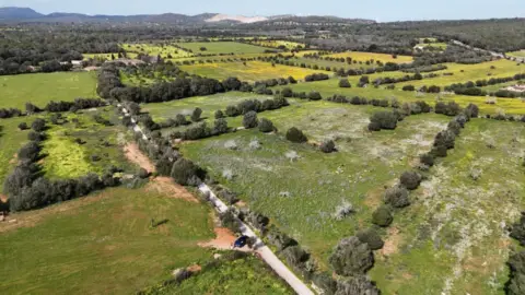 Finca rústica en Carrer de Porreres