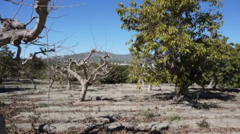 Finca rústica en Zona Ronda de Poniente-Avenidas Salobreña-Enrique Martín Cuevas