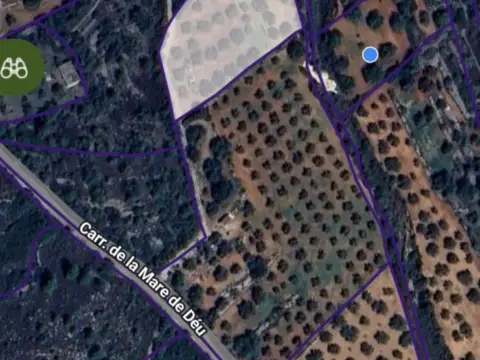 Finca rústica en Cervera del Maestre