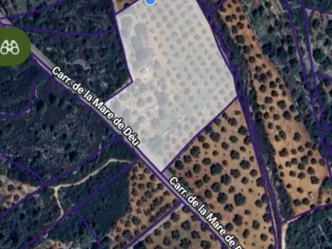 Finca rústica en Cervera del Maestre