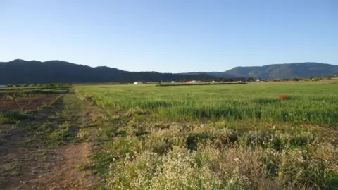 Finca rústica en Yecla