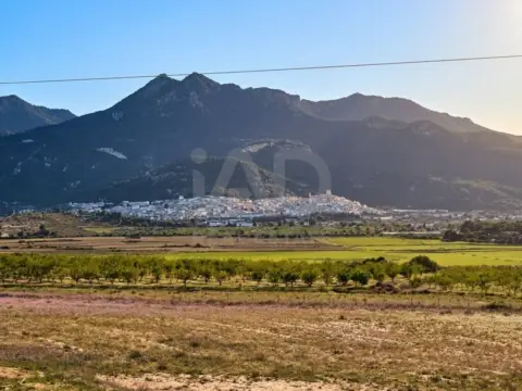 Terreno en Moratalla