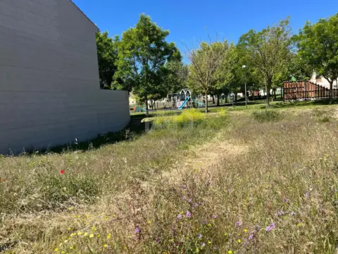 Terreno en Ciudad Rodrigo