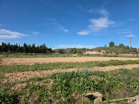Terreno en Calasparra