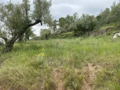 Terreno en Castellvell del Camp