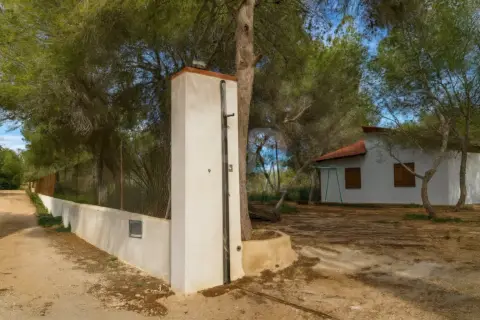 Finca rústica en Pilar de La Horadada