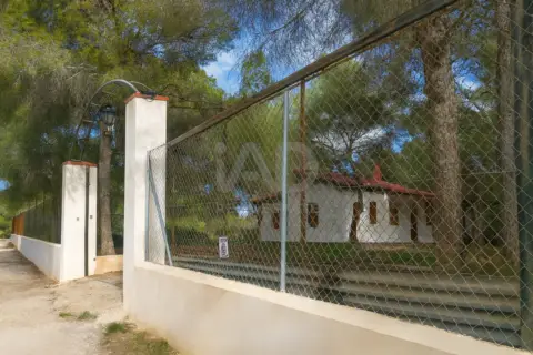Finca rústica en Pilar de La Horadada