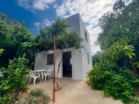 Finca rústica en Albalat de la Ribera
