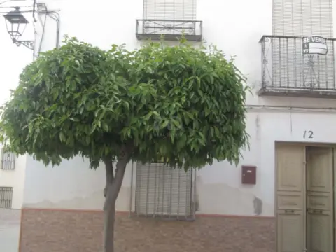 Apartamento en Santiago de Calatrava
