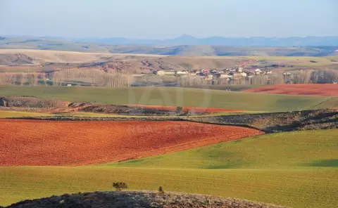 Terreno en Morón de Almazán