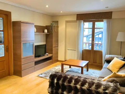 Piso en calle Fermin Antonio Apezetxea Kalea