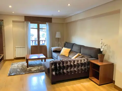 Piso en calle Fermin Antonio Apezetxea Kalea