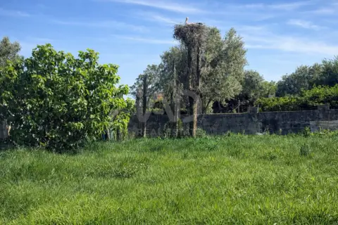 Terreno en Tarifa