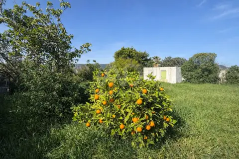 Terreno en Tarifa