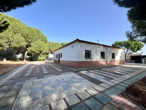 Finca rústica en Gibraleón