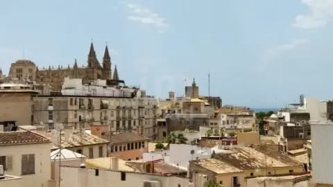 Pis a Palma de Mallorca