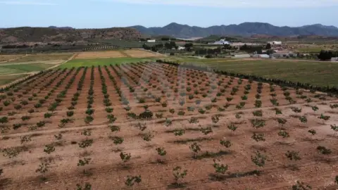 Terreno en La Hoya-Almendricos-Purias