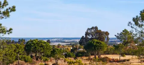 Terreno en Lepe