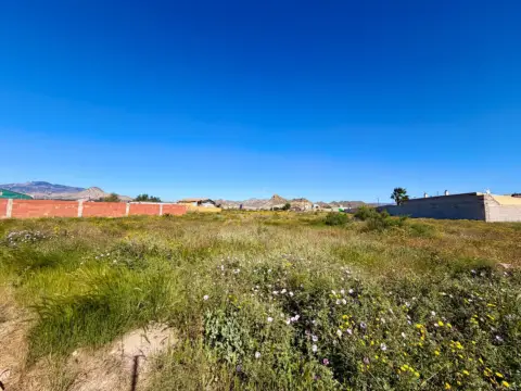 Terreno en Archena
