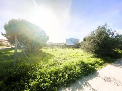 Terreno en Mogarizas-Las Rapazes