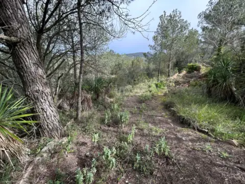 Terreno en calle Camino Can Verdaguer 336, nº 336