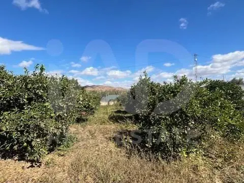 Terreno en Cártama