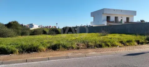 Terreno en Bonanza-Martín Miguel-Monteolivete