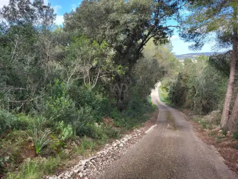 Terreno en Sant Joan