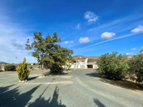 Finca rústica en Blanca