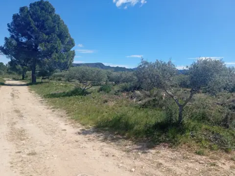 Finca rústica en Tarragona