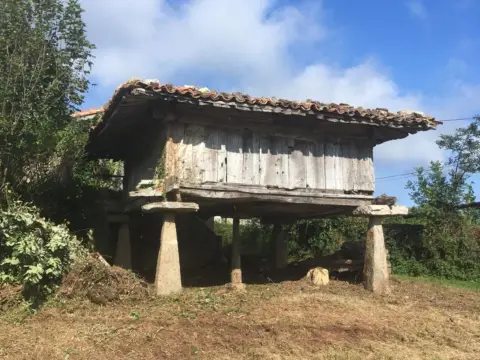 House in Villaviciosa