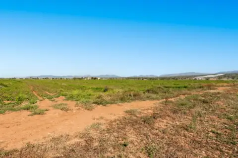 Finca rústica en Estadi Balear