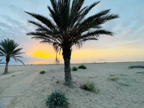 Piso en Platja del Port de Sagunt
