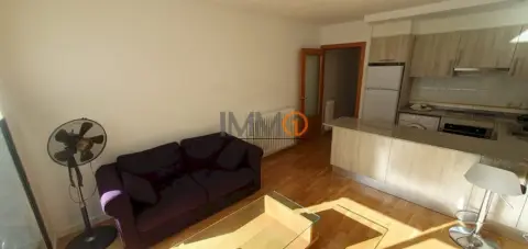1-bedroom flat for rent in Vila, Encamp · 49 of 60