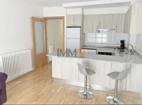 1-bedroom flat for rent in Vila, Encamp · 54 of 60