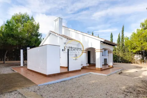 Casa unifamiliar en Murcia, Fuente Alamo, Las Palas
