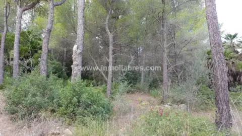 Finca rústica en Artà