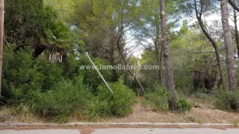 Finca rústica en Artà